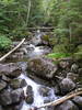 Phelps Brook